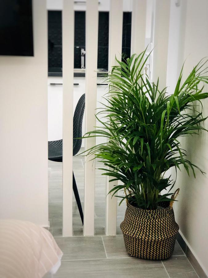 Beautiful Designer Apartment New Near Akropolis Αθήνα Εξωτερικό φωτογραφία